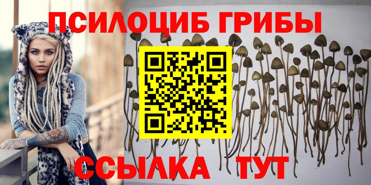 Псилоцибиновые грибы MAGIC MUSHROOMS Калач-на-Дону