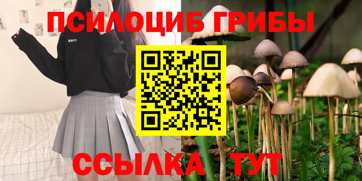 Галлюциногенные грибы Psilocybe  Псилоцибиновые грибы MAGIC MUSHROOMS  Вход с VPN  Калач-на-Дону 